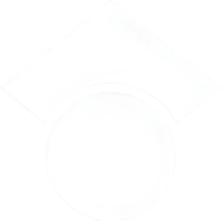 Google Scholar